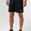 Nike Dri-Fit Academy Shorts