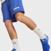 Puma 8" Team Mesh Shorts -Sport Apparel Shop 1 zoom desktop 181