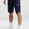 Regular Dry-Fit Active Short 2 Regular Dry-Fit Active Short -Sport Apparel Shop 1 zoom desktop 204
