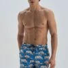 Printed Swim Trunks -Sport Apparel Shop 1 zoom desktop 241