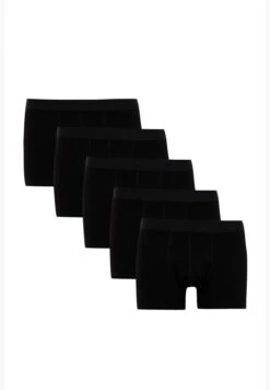 DeFacto 5 Pack Man Underwear Knitted Boxer