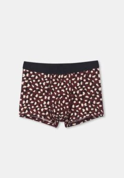 Printed Logo Band Boxer