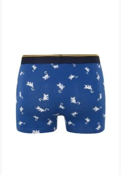 DeFacto Man Regular Fit Underwear Knitted Boxer -Sport Apparel Shop 2 zoom desktop 687