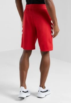 Hummel Falconzo Shorts -Sport Apparel Shop 3 zoom desktop 227