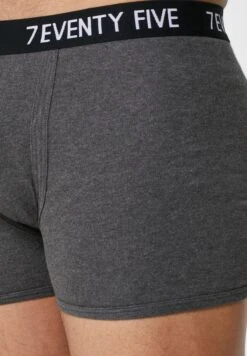 3 Pack Waist Band Trunks With Antibacterial Finish -Sport Apparel Shop 3 zoom desktop 347