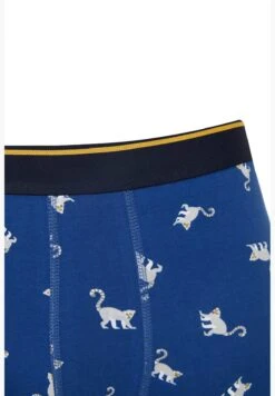 DeFacto Man Regular Fit Underwear Knitted Boxer -Sport Apparel Shop 3 zoom desktop 623