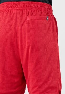 Jordan Essential Mesh Graphic Shorts -Sport Apparel Shop 5 zoom desktop 129